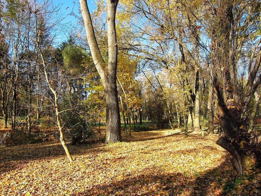 Петриків з panoramio.com (ч.2) - Петриків