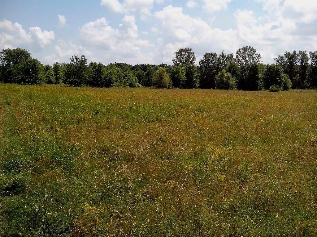 Приліпка з panoramio.com - Прилипка