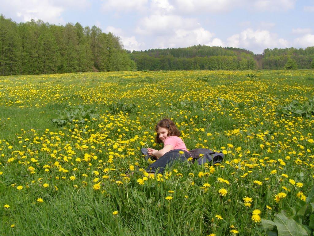 Томашівка з panoramio.com - Томашовка