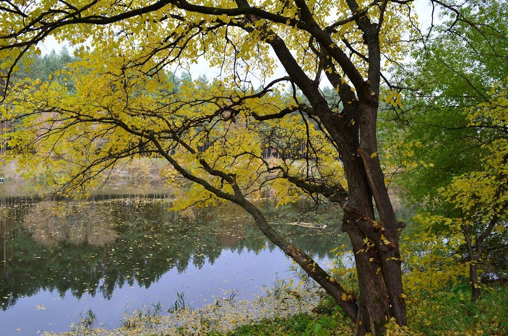 Корсунь-Шевченківський з panoramio.com - Корсунь-Шевченковский