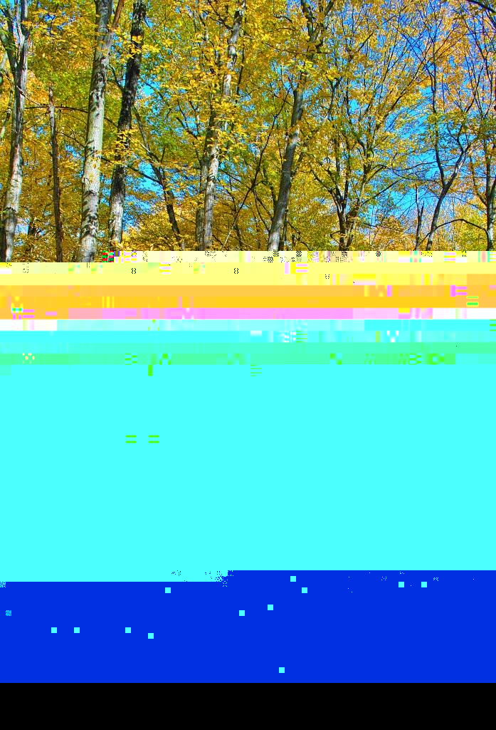 Буки з panoramio.com - Буки