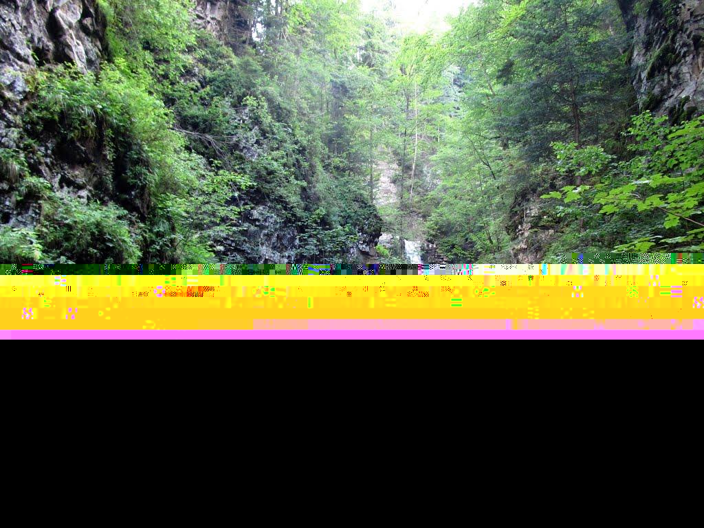 Кричка з panoramio.com - Кричка