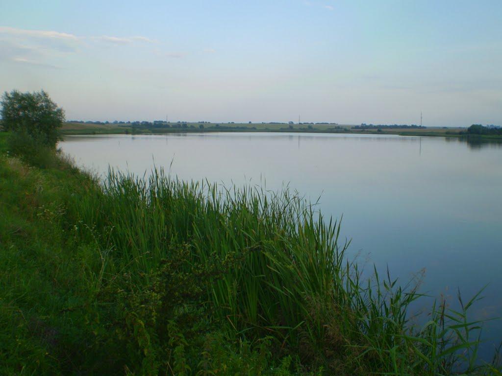 Підгайчики з panoramio.com - Підгайчики