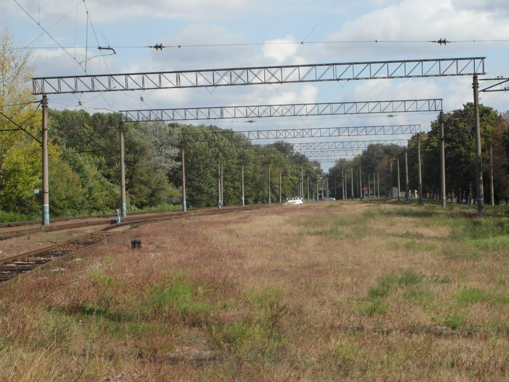 Затишшя з panoramio.com - Затишшя