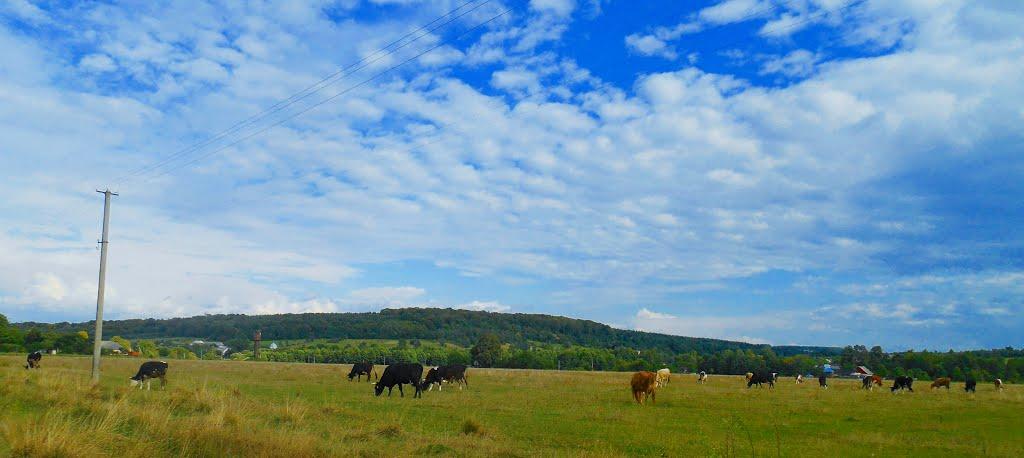 Верхній Майдан з panoramio.com - Verkhniy Maydan