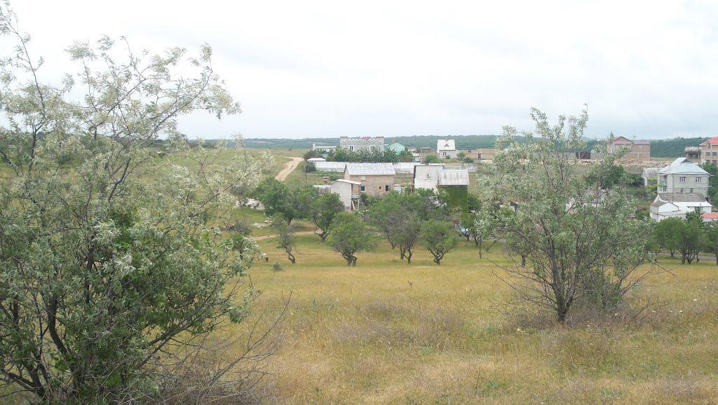 Любимівка з panoramio.com - Любимовка