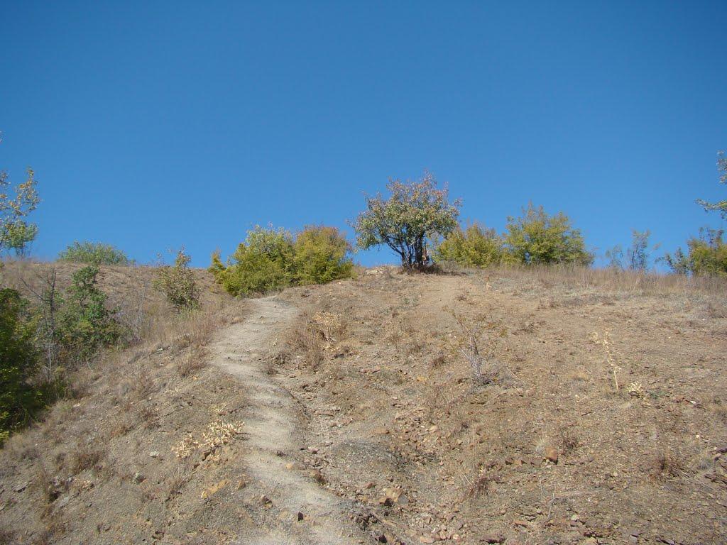 Рибаче з panoramio.com (ч.2) - Рибаче