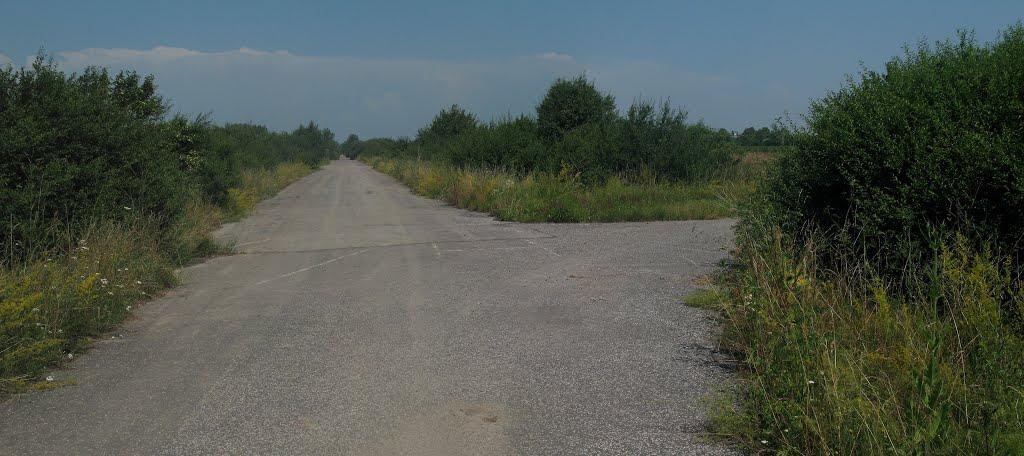 Соломоново з panoramio.com (ч.2) - Соломоново