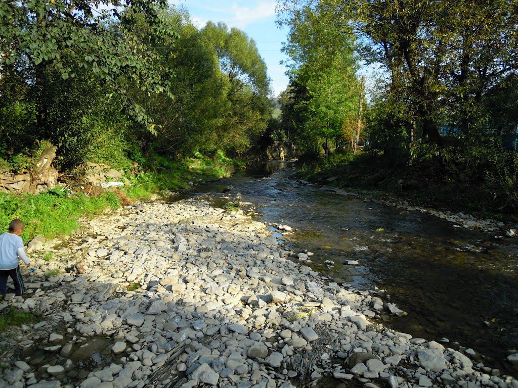 Нижні Ворота з panoramio.com - Нижні Ворота