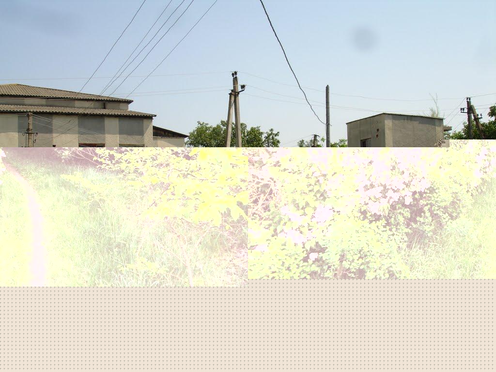 Динівці з panoramio.com - Динівці