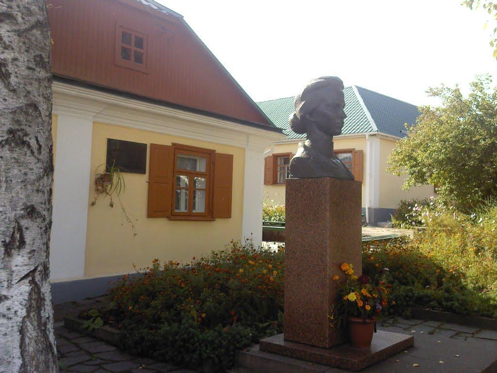 Новоград-Волинський з panoramio.com (ч.3) - Новоград-Волынский