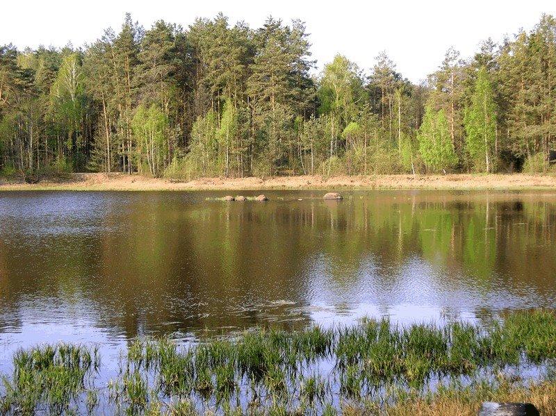 Білокам'янка з panoramio.com - Белокамянка