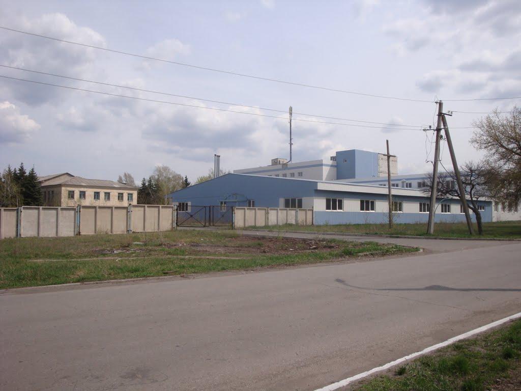 Шахтарськ з panoramio.com - Шахтарськ