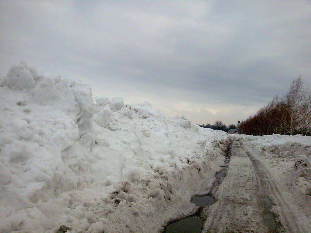 Литвиновичі з panoramio.com - Литвиновичі