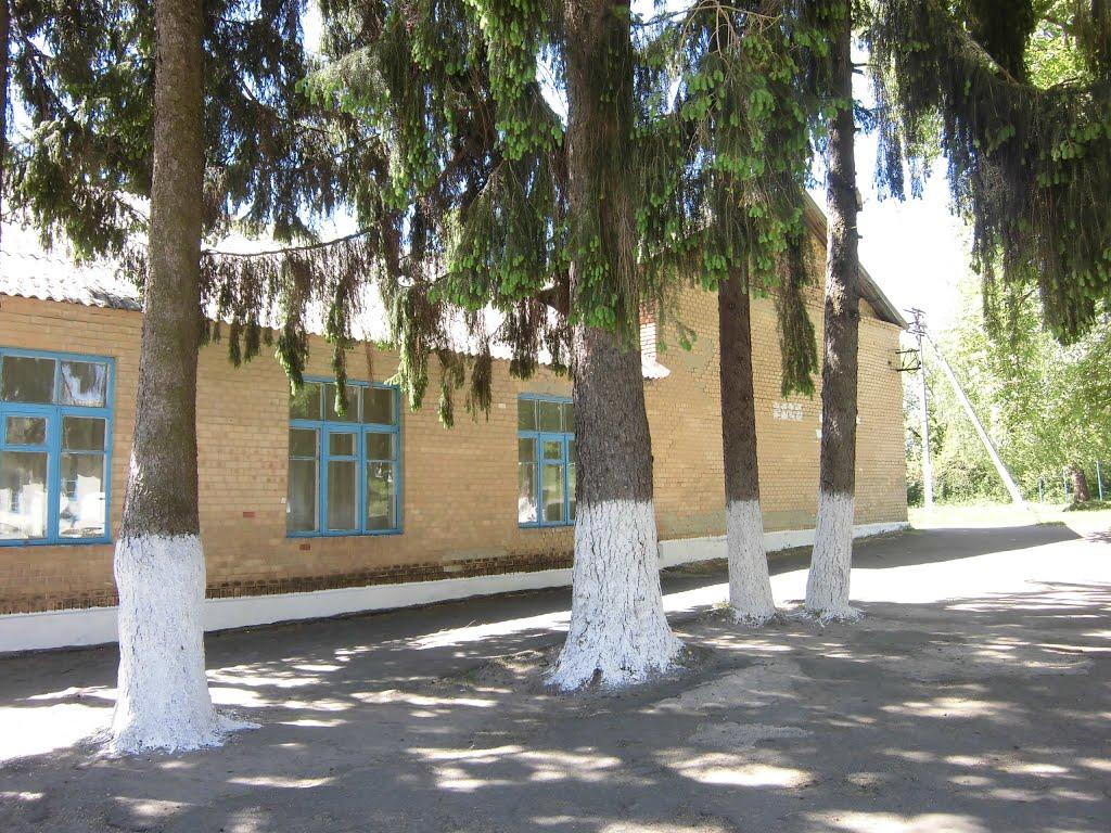 Новичі з panoramio.com - Новичи