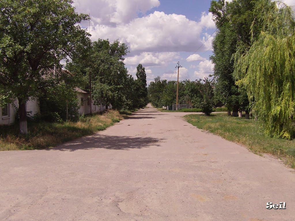 Покровське з panoramio.com - Покровське