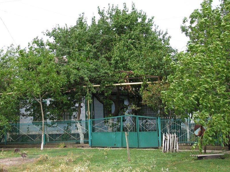 Богемка з panoramio.com - Богемка