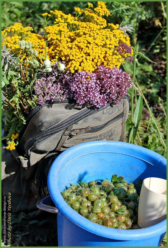 Алчевськ з panoramio.com (ч.2) - Алчевськ