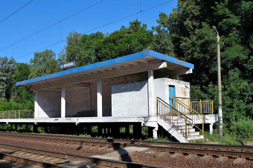 Марківці з panoramio.com - Марковцы