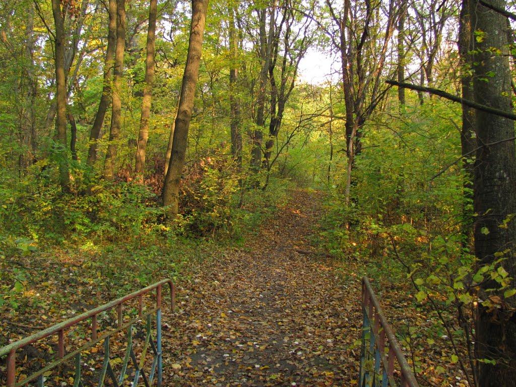 Богородичне з panoramio.com - Богородичне