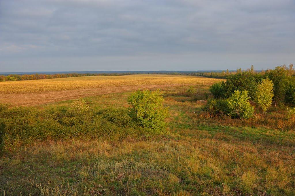 Миколаївка з panoramio.com - Николаевка