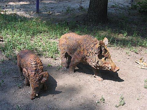 Новомосковськ з panoramio.com (ч.3) - Новомосковськ