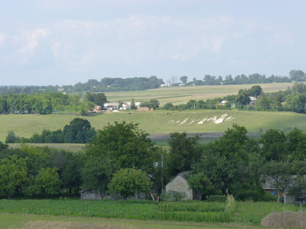 Острів з panoramio.com - Острів