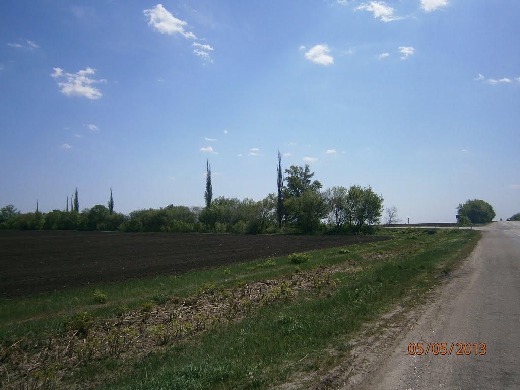 Дмитрівка з panoramio.com - Дмитрівка