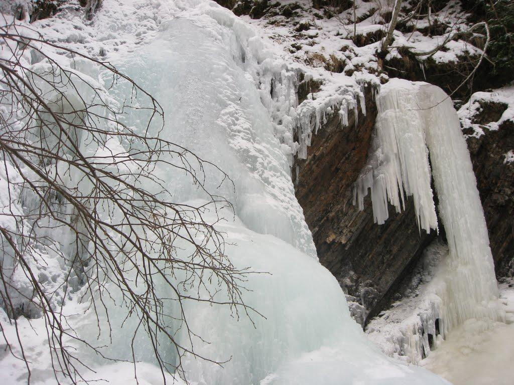 Паляниця з panoramio.com (ч.4) - Palyanytsya