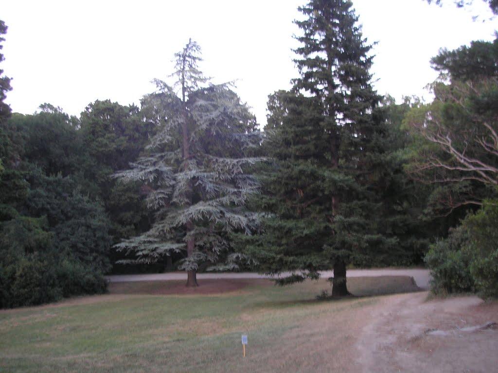 Алупка з panoramio.com (ч.3) - Алупка