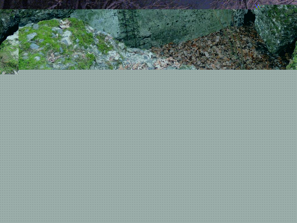 Софіївська Борщагівка з panoramio.com (ч.2) - Софіївська Борщагівка