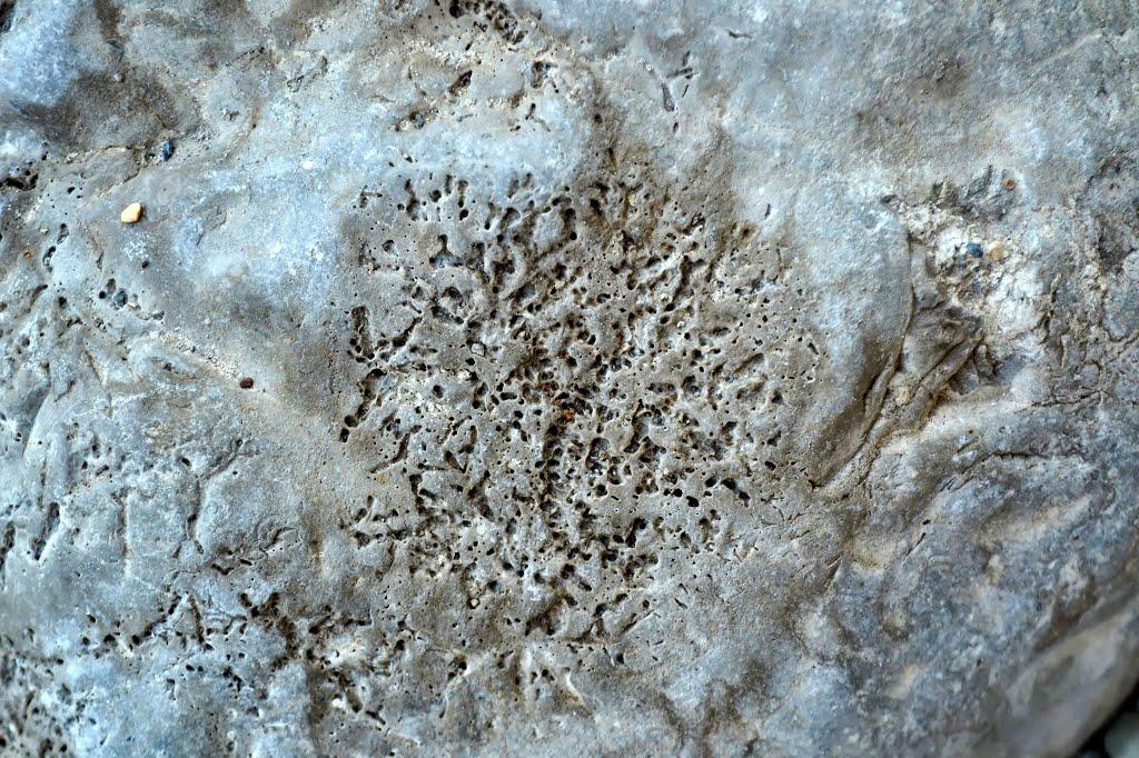 Алупка з panoramio.com (ч.3) - Алупка