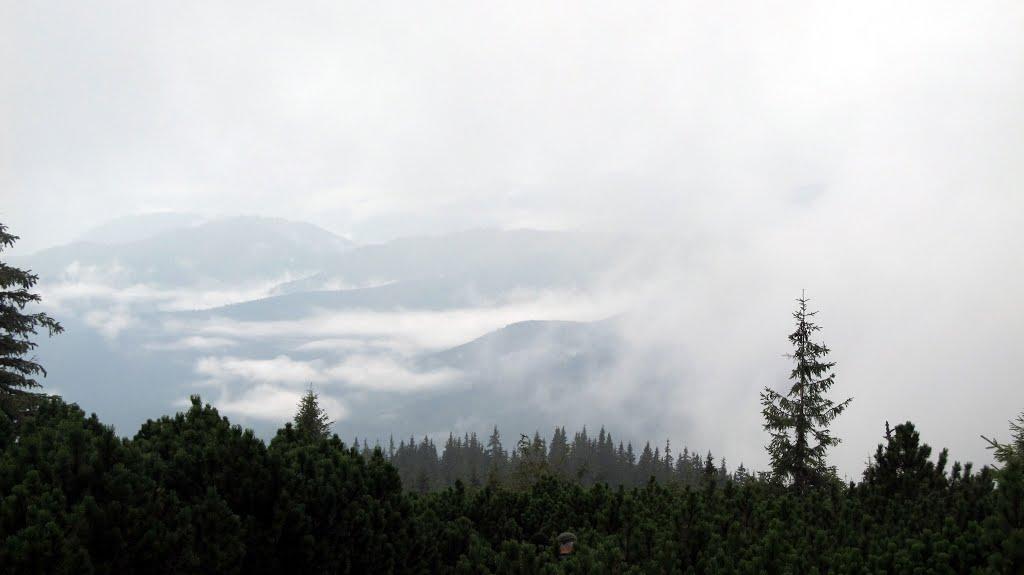 Говерла з panoramio.com (ч.2) - Говерла