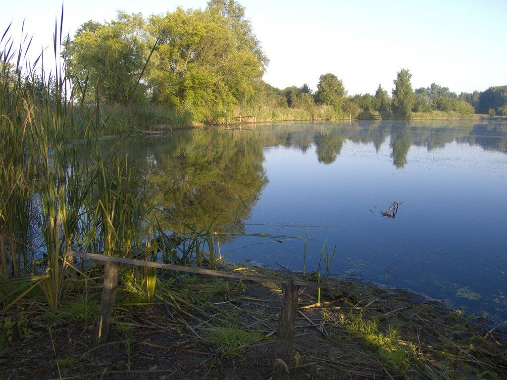 Гута-Забілоцька з panoramio.com - Гута-Забілоцька