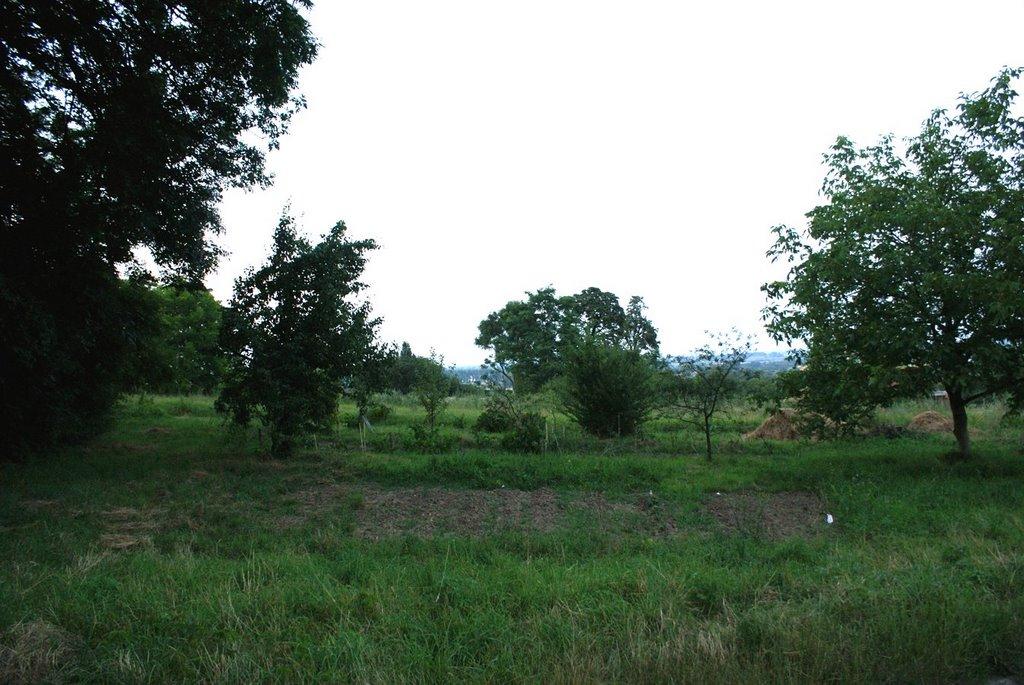 Нижанковичі з panoramio.com (ч.2) - Нижанковичі