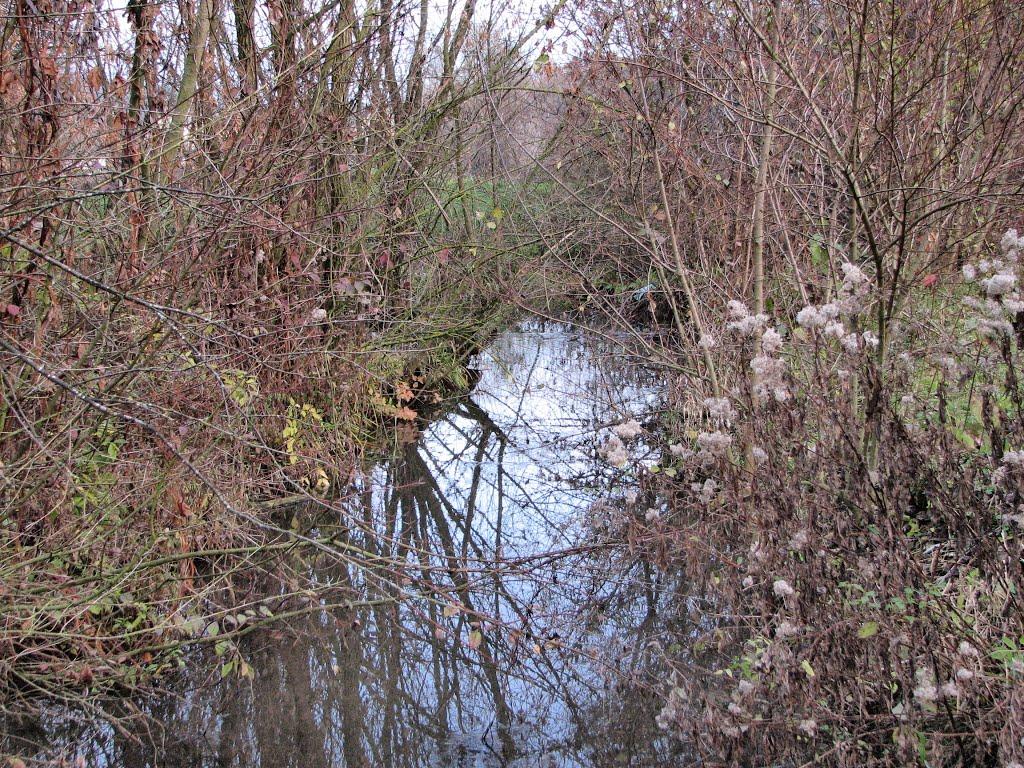 Маків з panoramio.com - Маков