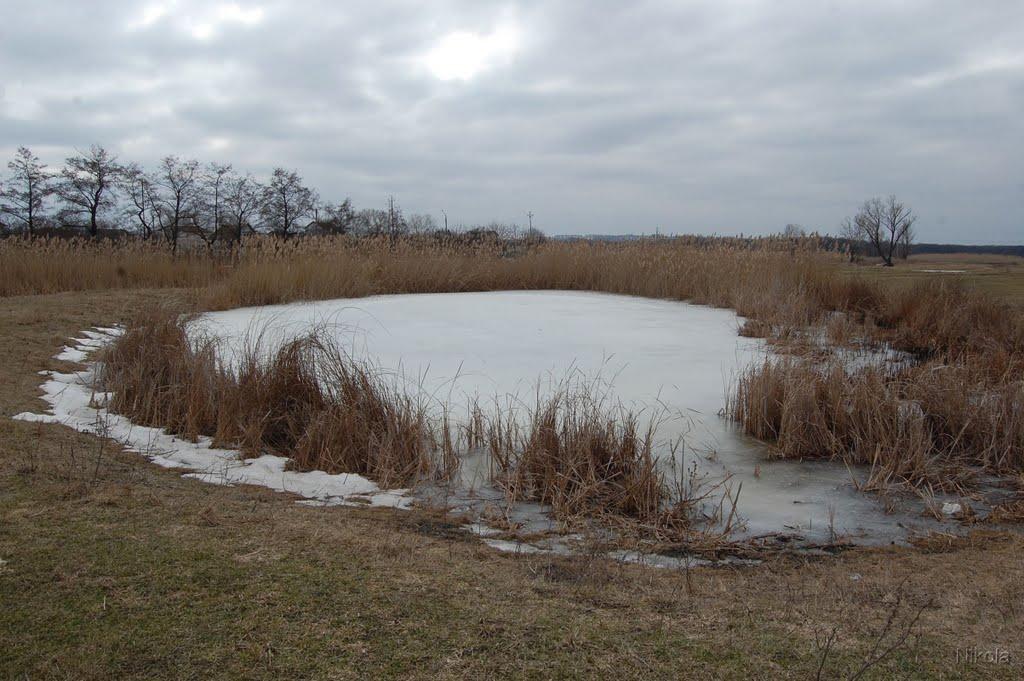 Сиротине з panoramio.com - Сиротине