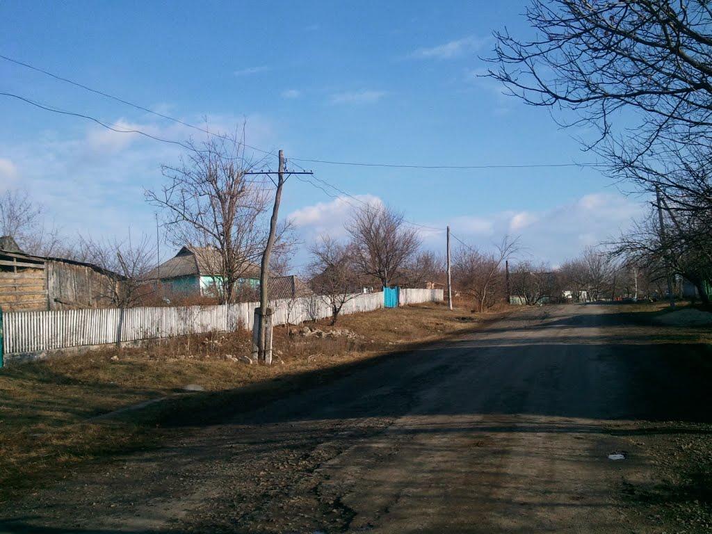 Червона Гребля з panoramio.com - Попова Гребля