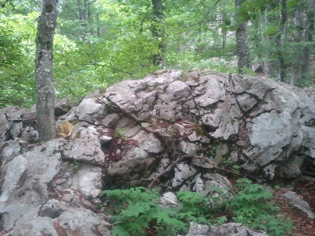 Охотниче з panoramio.com (ч.3) - Охотничее