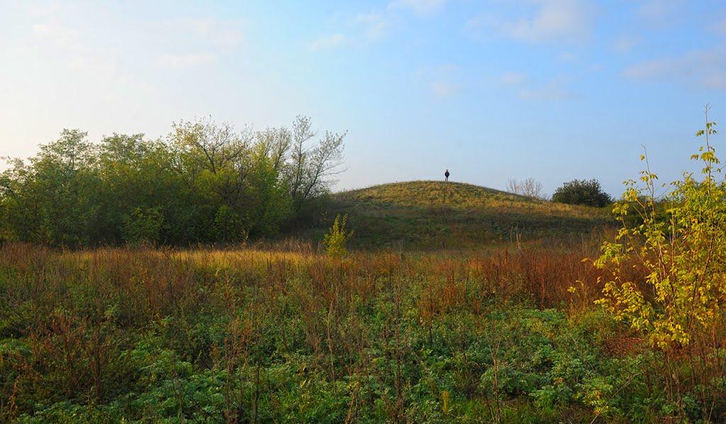 Миколаївка з panoramio.com - Миколаївка