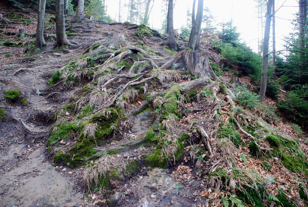 Манява з panoramio.com - Манява