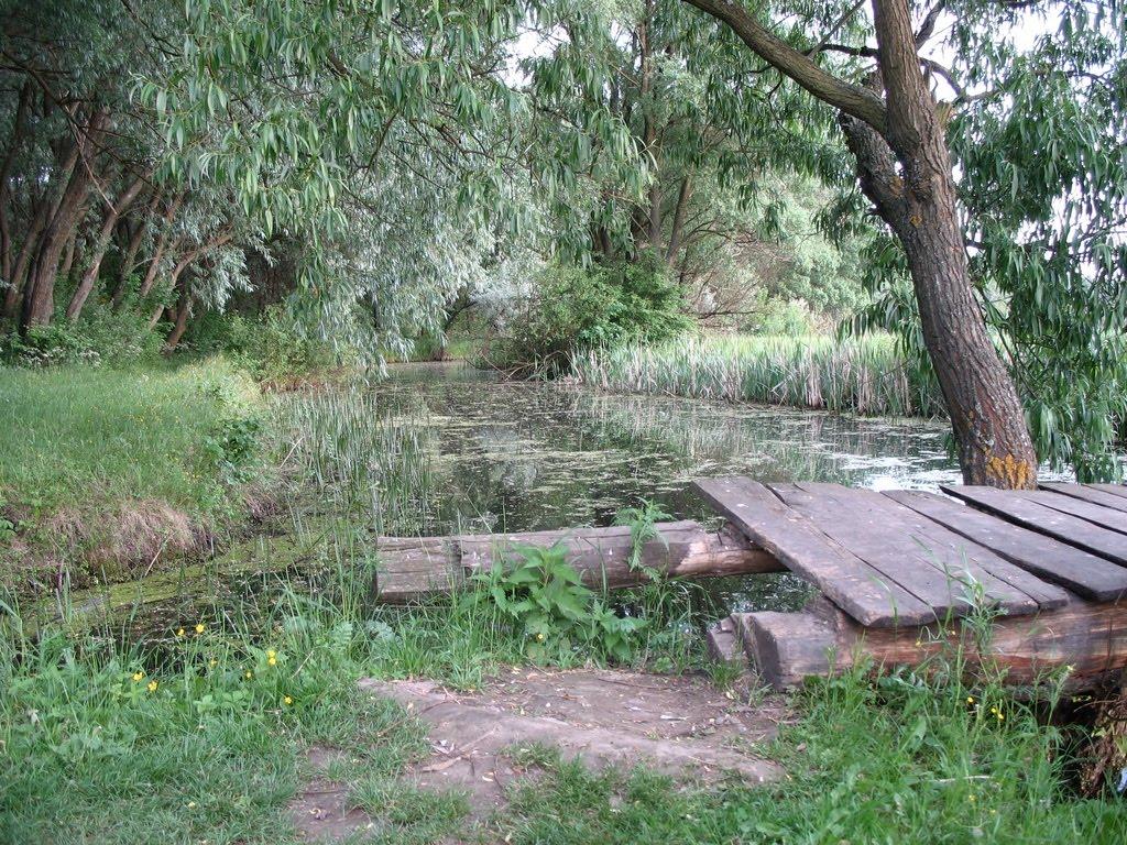 Вереміївка з panoramio.com - Вереміївка