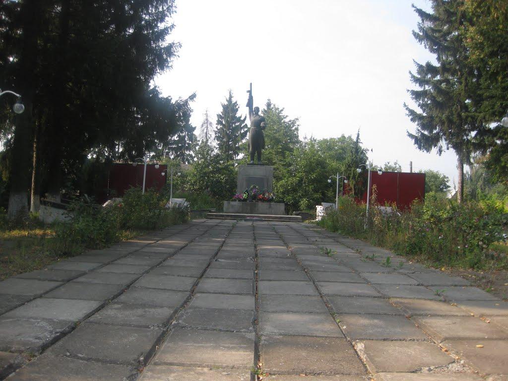 Вороновиця з panoramio.com - Вороновиця