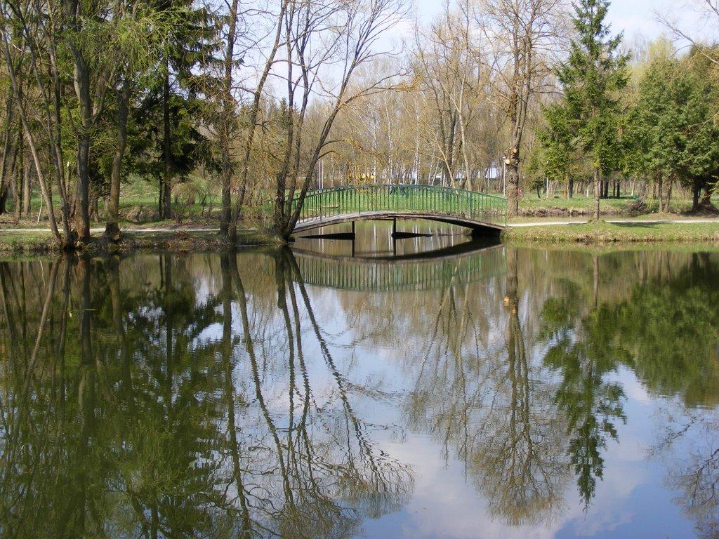 Петриків з panoramio.com (ч.2) - Петриків