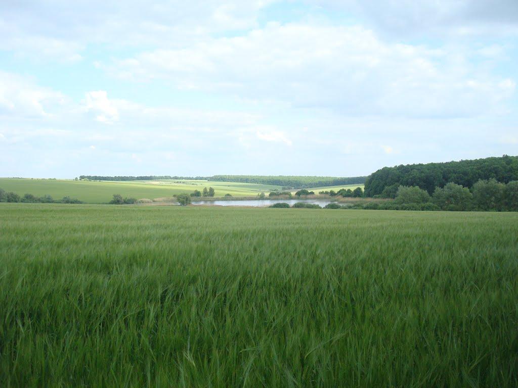 Ставчани з panoramio.com - Ставчани