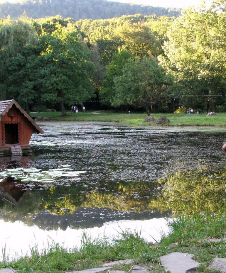 Карпати з panoramio.com - Карпати