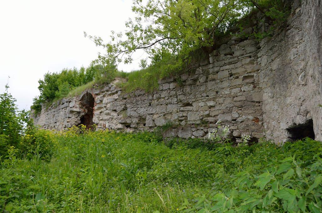 Залізці з panoramio.com - Залізці