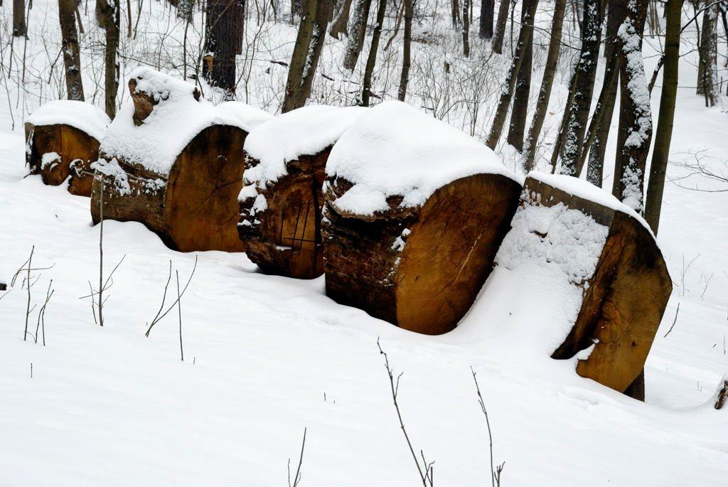 Шарівка з panoramio.com - Шарівка