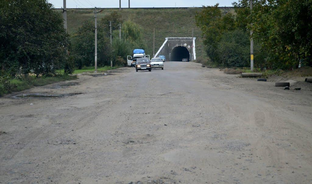 Павлівка з panoramio.com - Павлівка