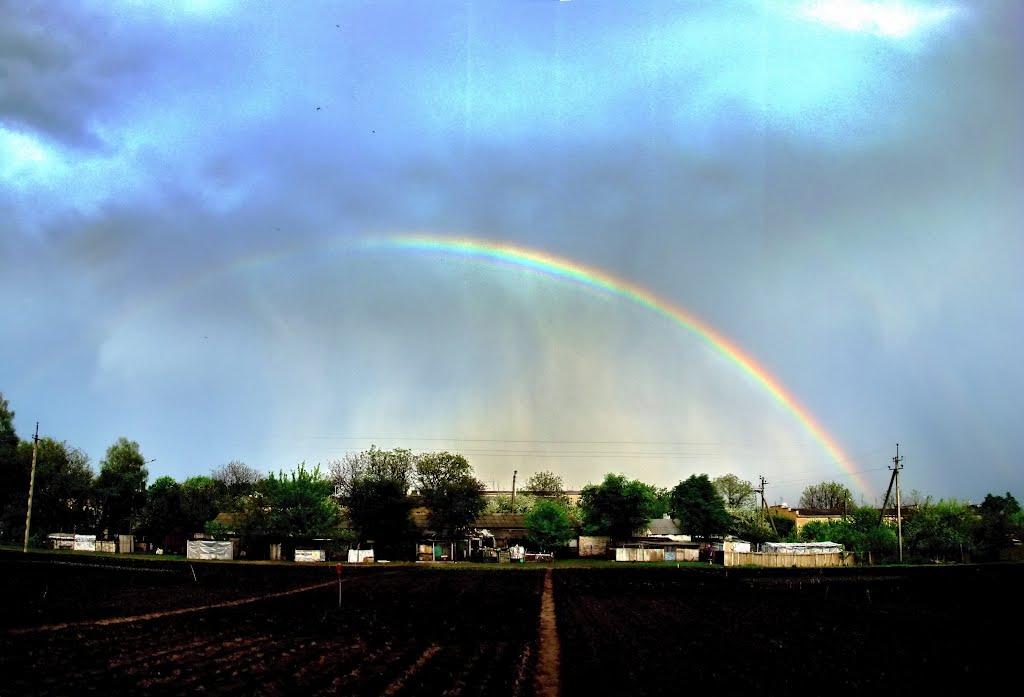 Косарі з panoramio.com (ч.2) - Косари